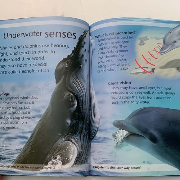 Whales and dolphins by Caroline Harris - Picture 5 of 10